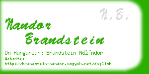 nandor brandstein business card
